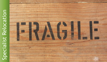 specialist relocations